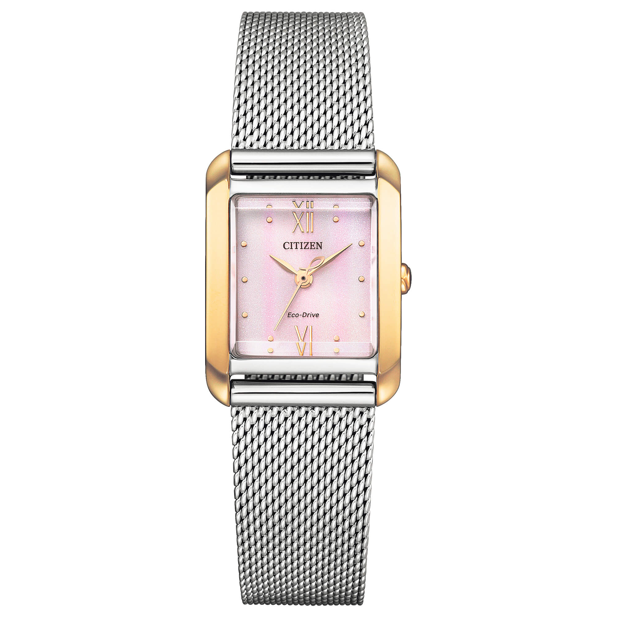 Citizen L EW5596-66X