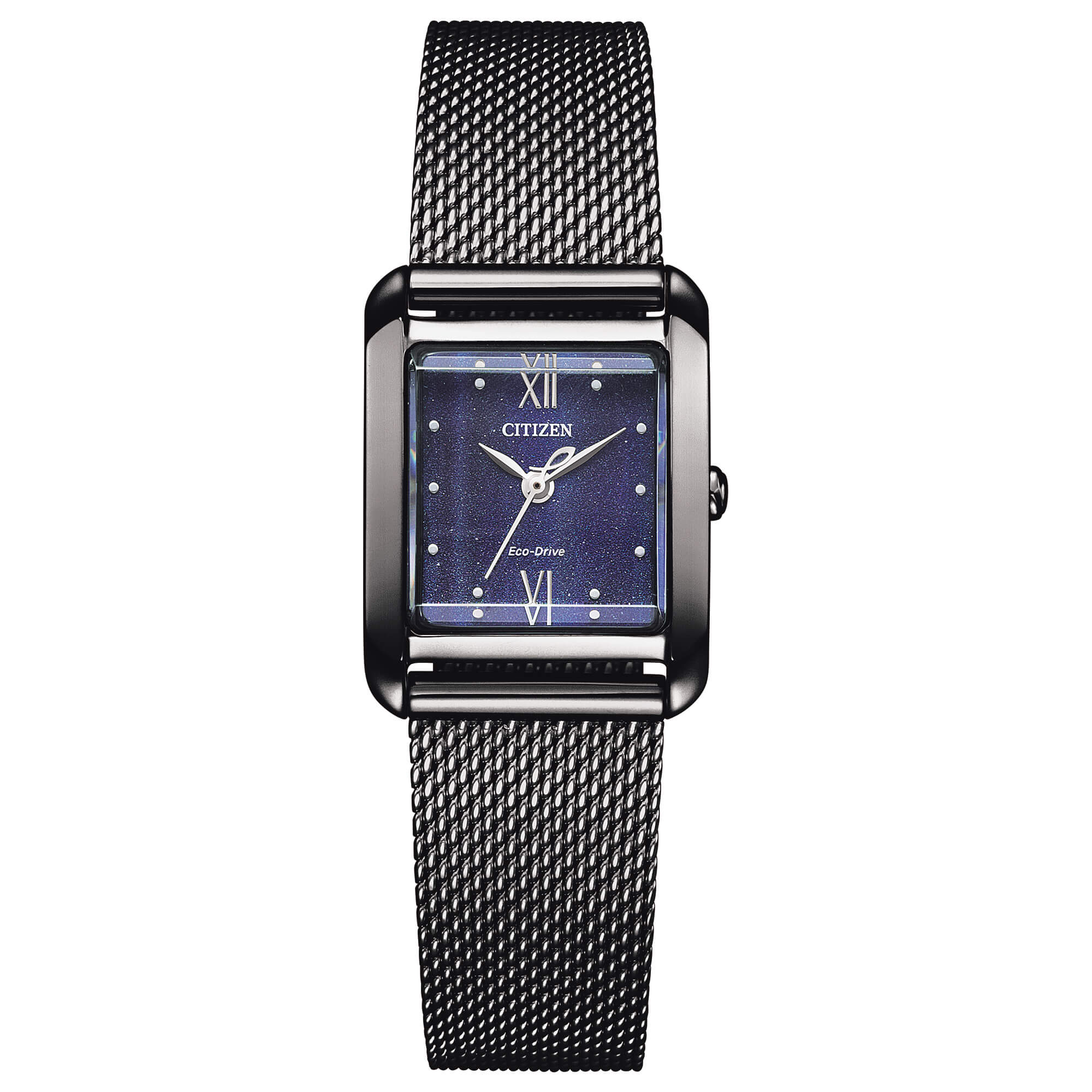 Citizen L 	EW5597-63L